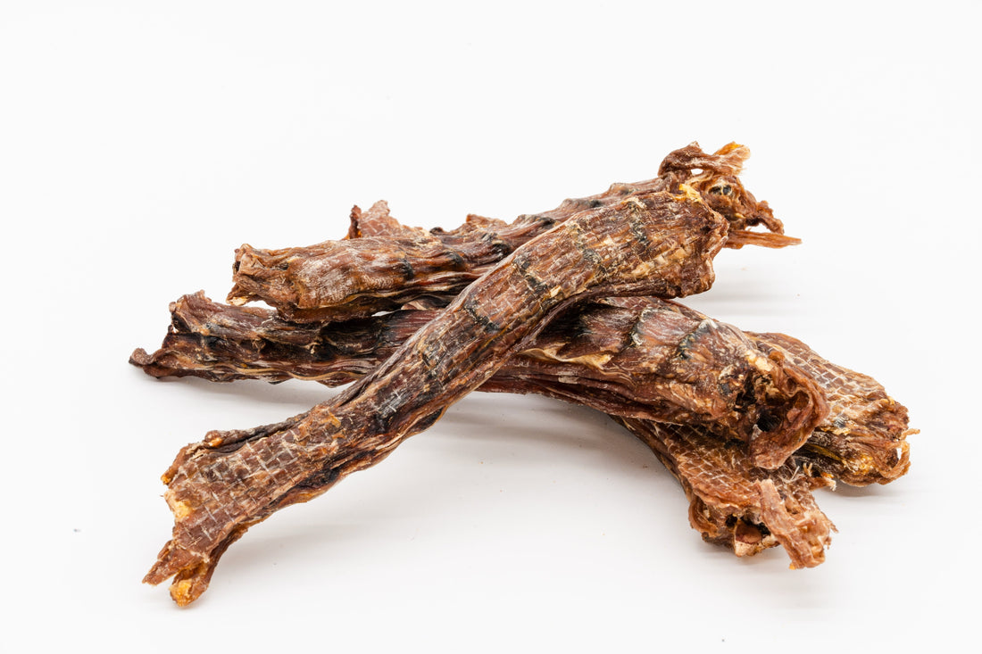 The Multifaceted Benefits of Chewing for Cats and Dogs: A Scientific Perspective