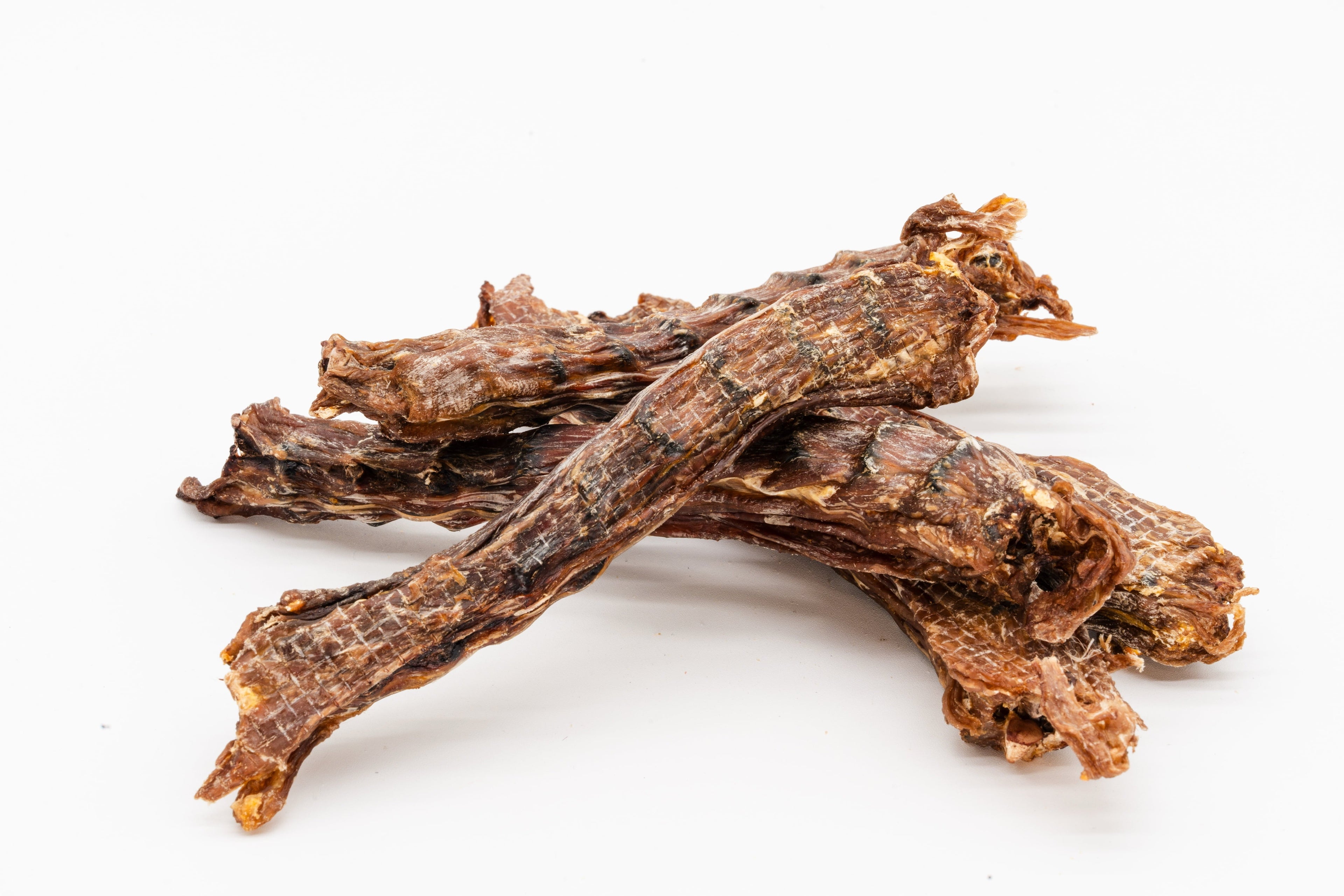 The Multifaceted Benefits of Chewing for Cats and Dogs: A Scientific Perspective