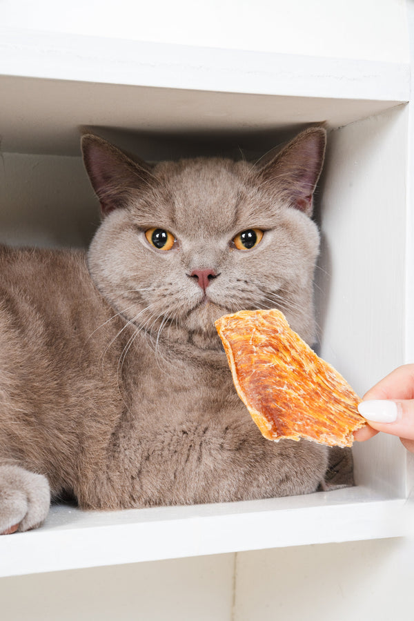 How APC Crafts Their Premium Jerky Treats for Your Beloved Pets